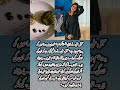 Sajal Ali Slashes Rumors I Ll Share Updates Myself Youtubeshorts