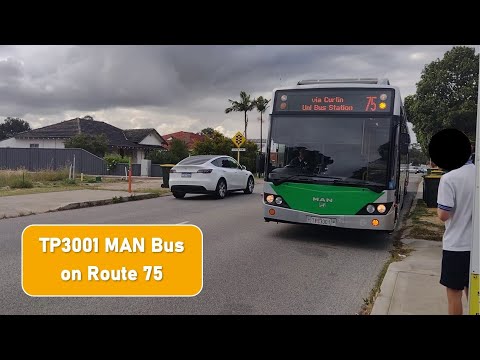 Transperth TP3001 MAN Brisbane-Interior Bus on Route 75