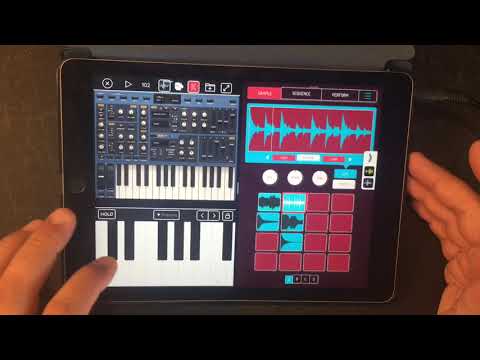 KOALA SAMPLER - Split Screen Workflow Tutorial