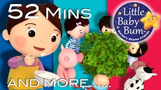 Here We Go Round The Mulberry Bush | Plus More Nursery Rhymes | 52 Mins Compilation by LittleBabyBum