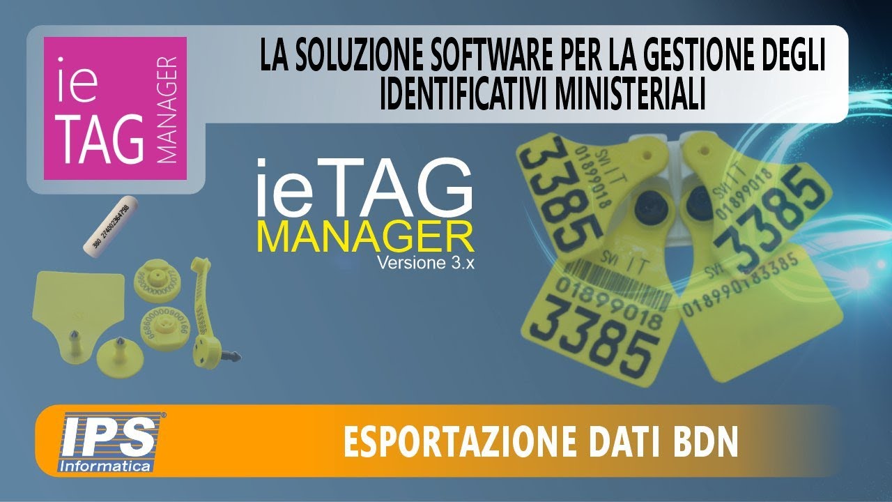 Esportazione dati BDN