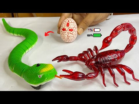 RC Scorpion vs Rattle Snake | Remote Control Scorpion Unboxing | Remote Control Rattle Snake