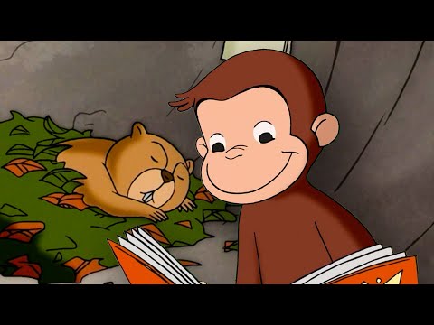 ¡Miércoles de marmota! | Jorge El Curioso En Español