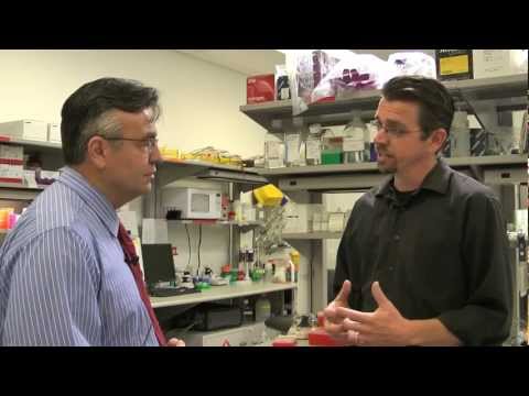 TGEN North Business Brief