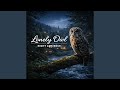 Lonely Owl Relax Chill Focus Sounds