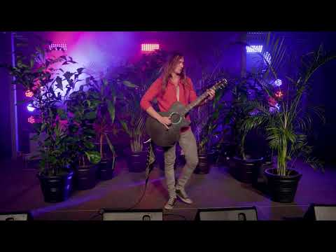 Gravy Train | The Budgie