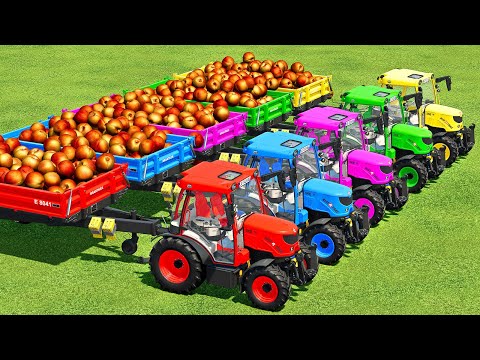 LOAD & TRANSPORT PEACHES WITH SCANIA & RIGITRAC TRACTORS   Farming Simulator 22