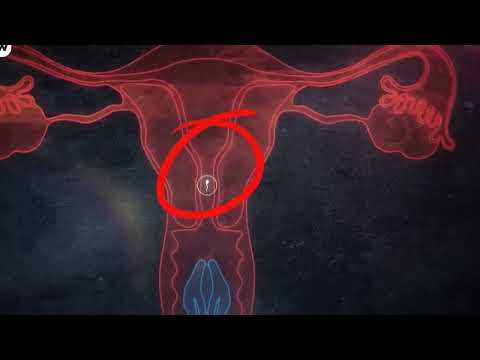 لا يترك الرجل زوجته الا عندما تقضي وطرها سر حدوث الحمل