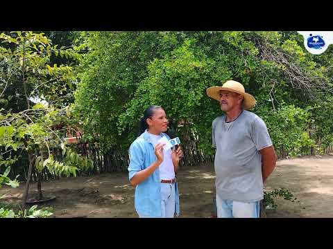 Entrevista com o agricultor Velho da localidade de Fazenda Velha em Itapiúna