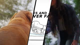 RecoveryZone Dog Beds – Faster Recovery