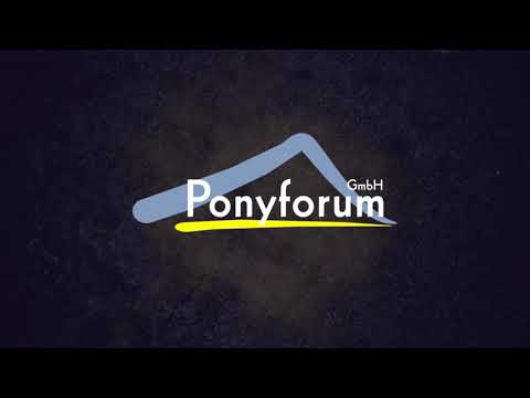 12j. Palominowallach v. Bentley – Nadol