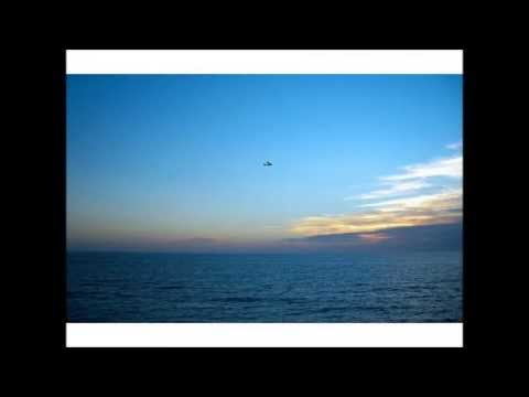 Borboleta Azul video