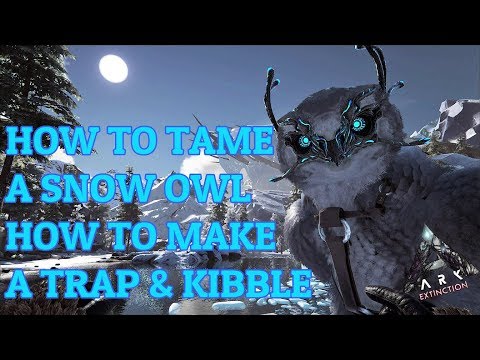 How to tame a Snow Owl: Ark Extinction DLC - How to make a trap & Kibble