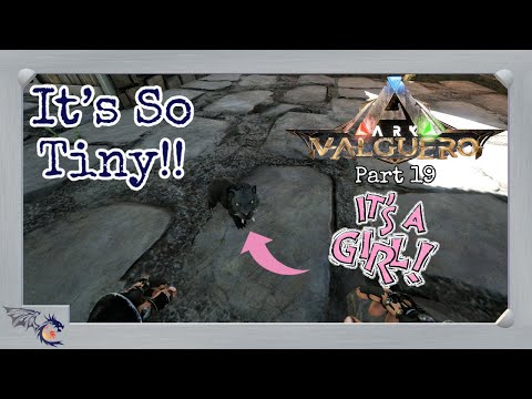 Sabertooth Breeding | ARK: Valguero #19