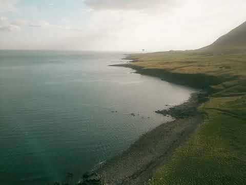 Cofaxx - Peach (DJ Planet Express Remix)