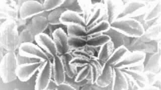 Goethes Erben-&quot;Glasgarten&quot;