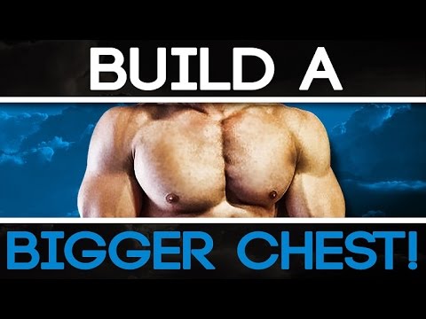 Muscular Strenght Title