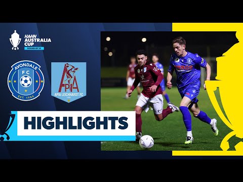 bg-highlight