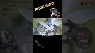 FREE BIRDS RISE UP!!!! BAKAWWWW!!! #eldenring #nightreign #eldenringnightreign #guardian #freebird
