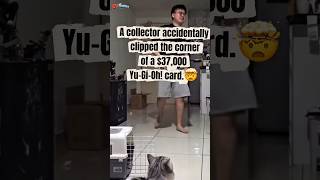 A collector accidentally clipping the corner of a $37,000 Yu-Gi-Oh! card. 🤯