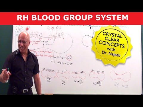 Rh Blood Group System | Dr Najeeb