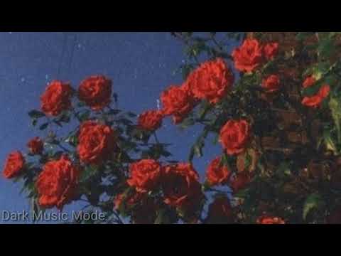 Mike Bahía, Llane, PJ Sin Suela - Cuenta Conmigo (feat. Mozart La Para)