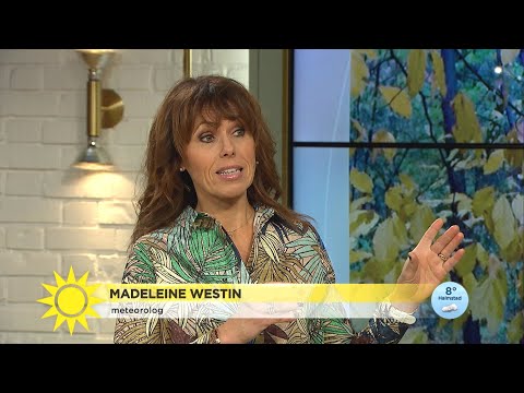 Tropisk orkan drar in över Skandinavien - Nyhetsmorgon (TV4)