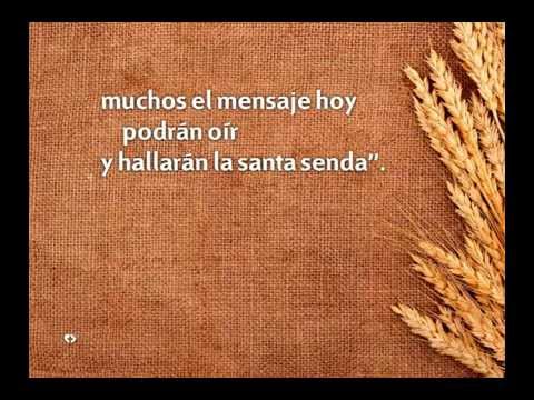 522 SUENEN LAS PALABRAS