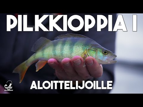 Pilkkioppia I - Aloittelijoille