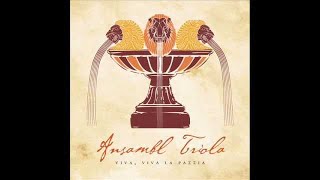 Ansambl Triola - Canarie