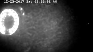 Pine Knob Live Stream