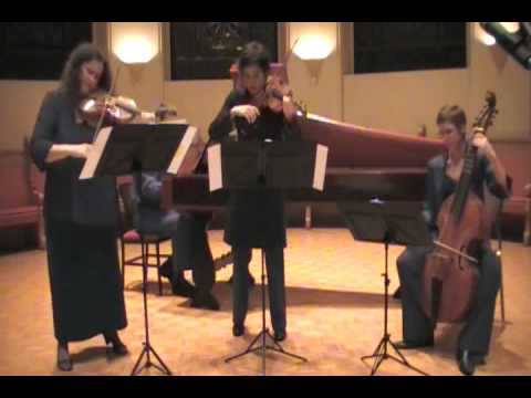 Johann Valentin Meder - Ciaconne