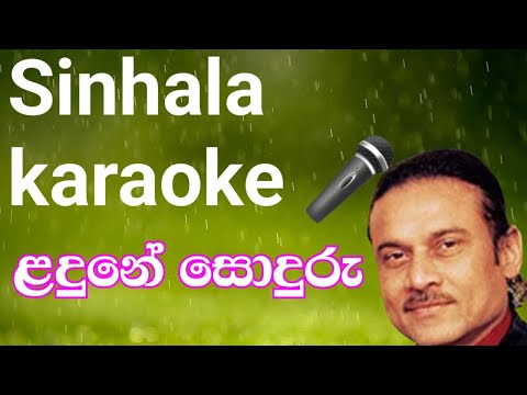 Ladune soduru ladune