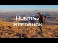 Hunting Reedbuck In The Foothills Of The Drakensberge