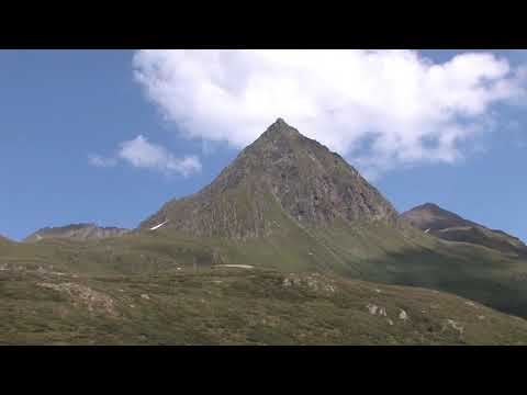 ZWEI FREUNDE (Sehnsucht nach Dir) Psayrer & Franzl  wunderschöne Instrumentalmusik der Psayrer