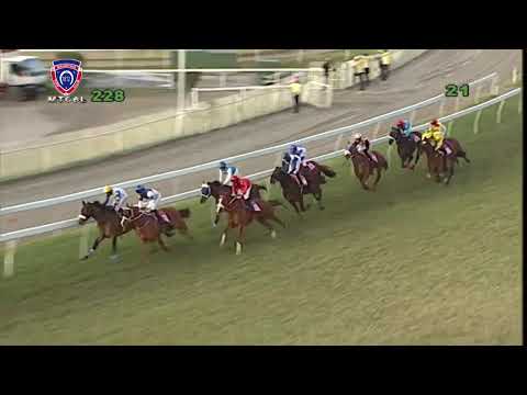 Une Maiden Cup 2021 revisitée… par la Covid-19