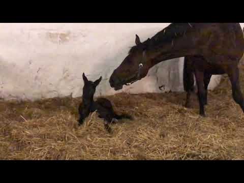 Am 27.05.2021 geboren