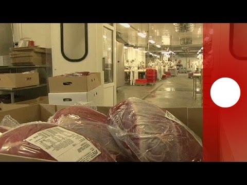 Carne equina: le tappe dello scandalo