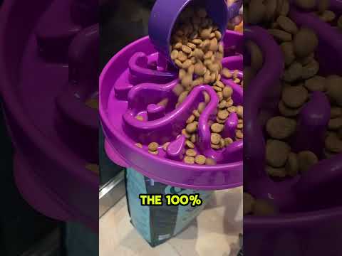 Best Food For Your Dog? 100% Traceable Ingredients! Wholesome Quality Dog Food! Open Farm GoodBowl!