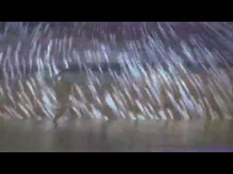 Timo Chinala - Forgotten Realms