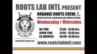 Organic roots crew in roots lab session 23-04-2013