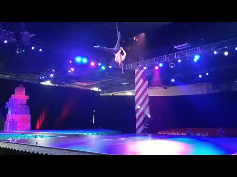 Aerial POLE Andrey Lyamin (act created by Andrey Lyamin)