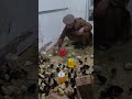 جنرال مبین