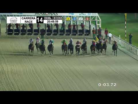 CARRERAS MARONAS  28/12/25 I  EN  VIVO I URUGUAY