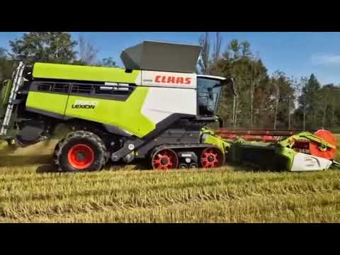 nuova claas lexion 8900 ttr trebbiatura riso 2025 