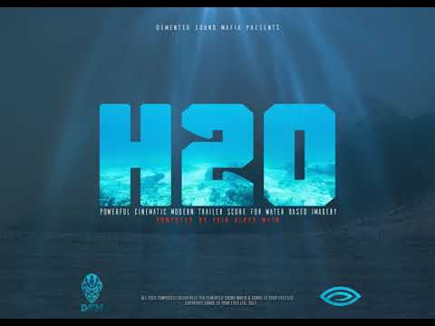 Demented Sound Mafia :: H2O (By Yair Albeg Wein)