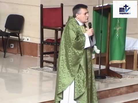 Homilía. XXVII Domingo T.O. (07.10.18) P. Santiago Martín, FM