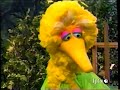 Sesame Street 3769 Big Bird Is AlphaBird