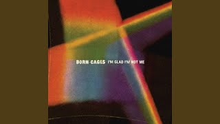 Rolling Down The Hill