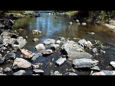 ARROYO DE LA CRUZ, FLORIDA. La Macana "Corazón del Mundo"